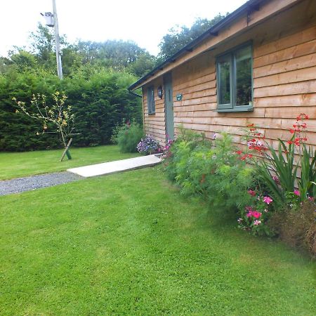 The Potting Shed And The Garden Shed Self Catering Villa Carmarthen Luaran gambar