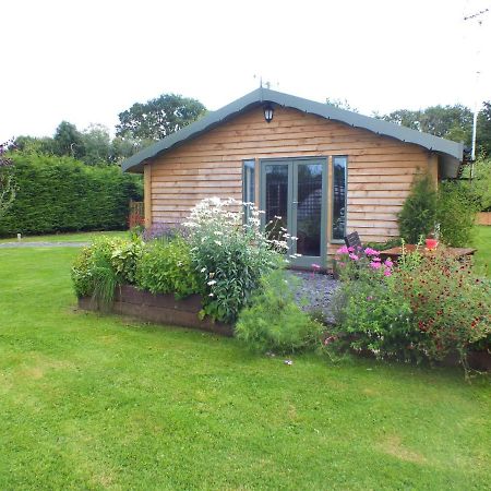 The Potting Shed And The Garden Shed Self Catering Villa Carmarthen Luaran gambar