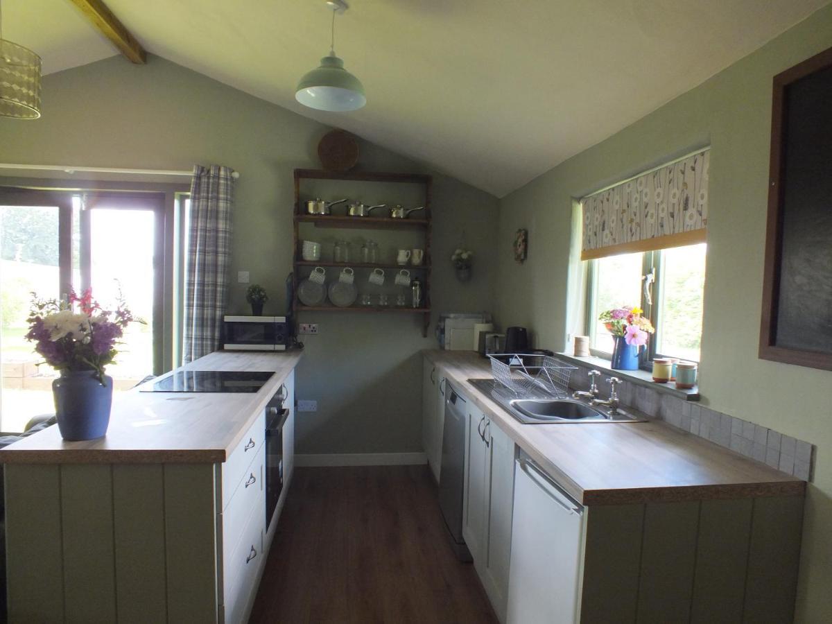 The Potting Shed And The Garden Shed Self Catering Villa Carmarthen Luaran gambar