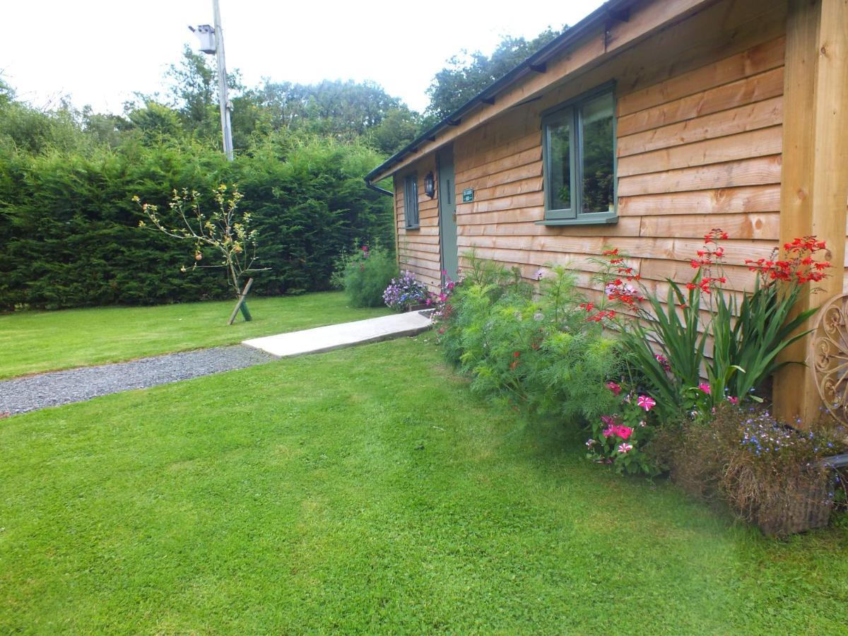 The Potting Shed And The Garden Shed Self Catering Villa Carmarthen Luaran gambar