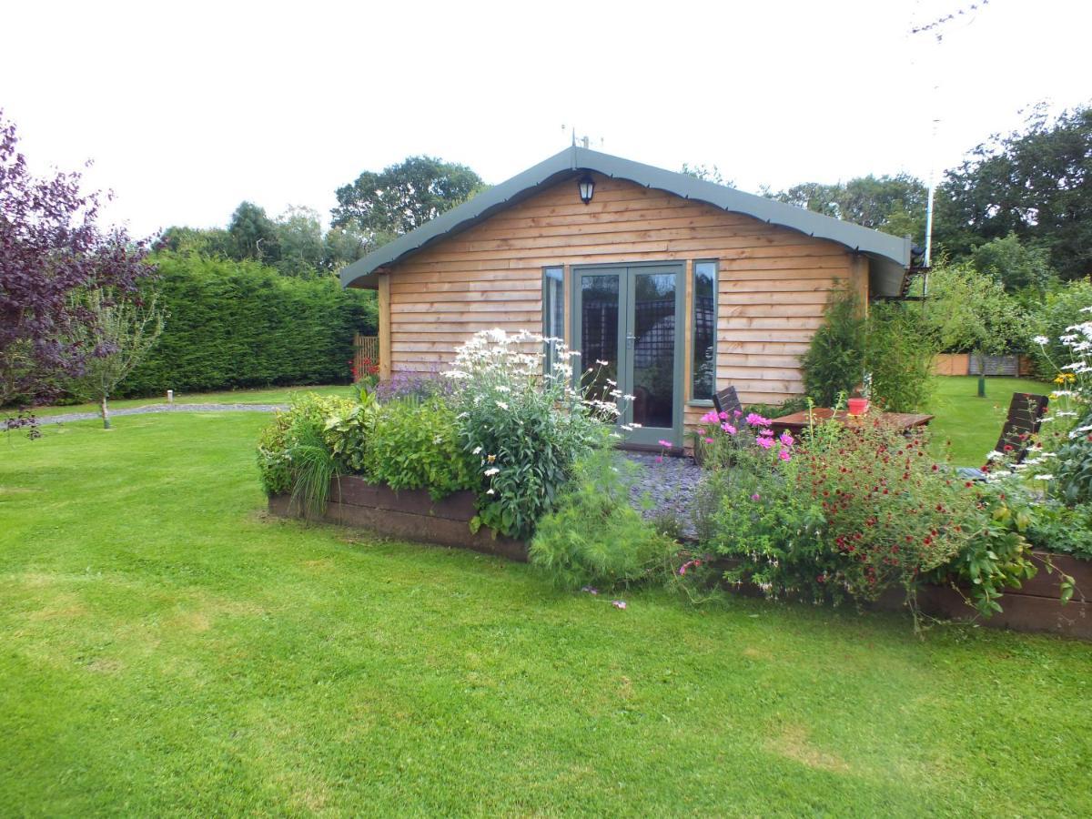 The Potting Shed And The Garden Shed Self Catering Villa Carmarthen Luaran gambar