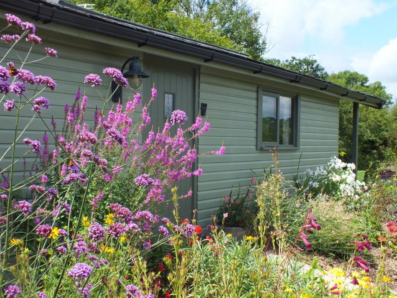 The Potting Shed And The Garden Shed Self Catering Villa Carmarthen Luaran gambar