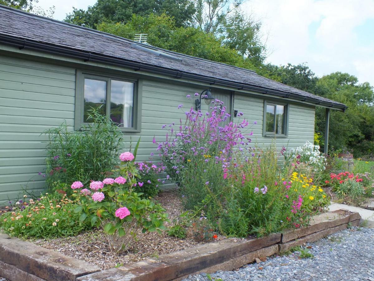 The Potting Shed And The Garden Shed Self Catering Villa Carmarthen Luaran gambar