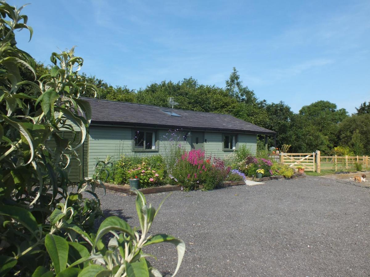 The Potting Shed And The Garden Shed Self Catering Villa Carmarthen Luaran gambar