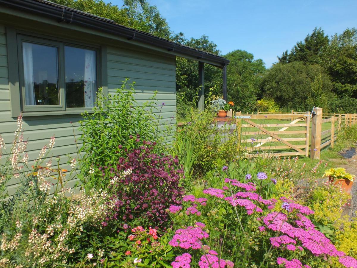 The Potting Shed And The Garden Shed Self Catering Villa Carmarthen Luaran gambar